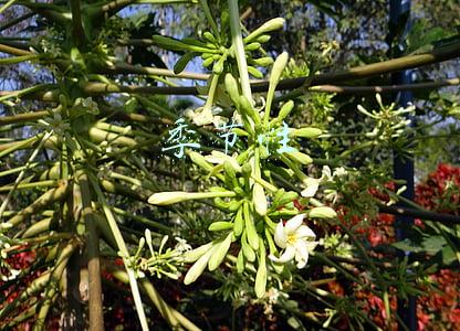季节性