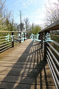 打字键盘变小了怎么办(输入的时候键盘变小了，如何恢复？)