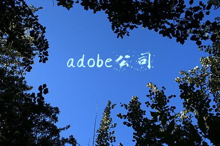 adobe公司
