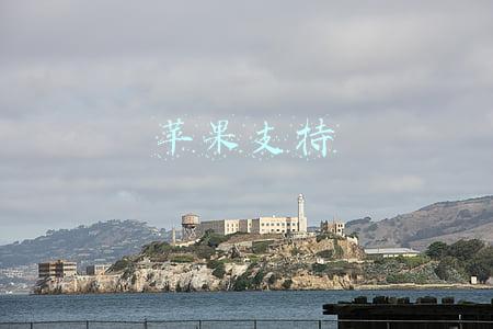 苹果支持