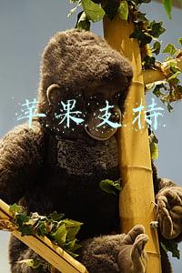 苹果支持