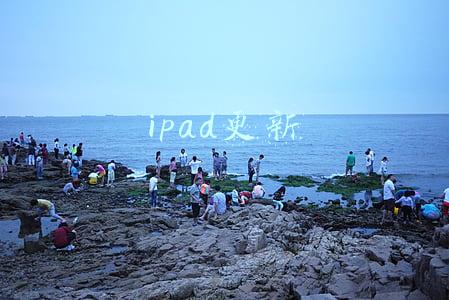 ipad更新