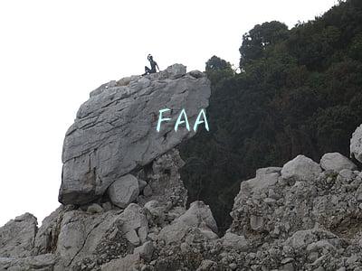 FAA