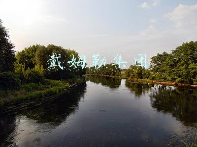 戴姆勒集团