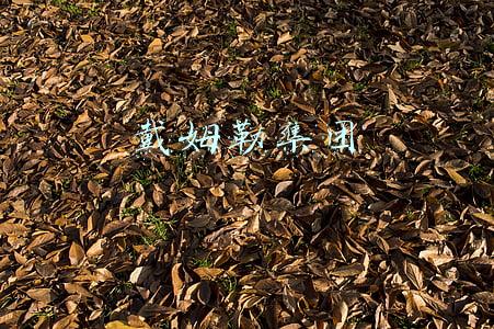 戴姆勒集团