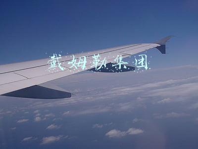戴姆勒集团