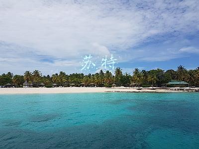 苏特里(令人咋舌！意大利一市长又抛惊人言论：“在非必要场合戴口罩”要罚款或者监禁)