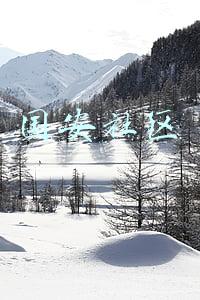 国安社区