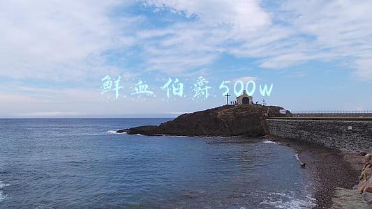 鲜血伯爵500w