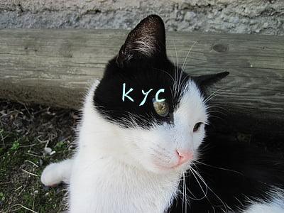 kyc