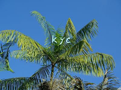 kyc