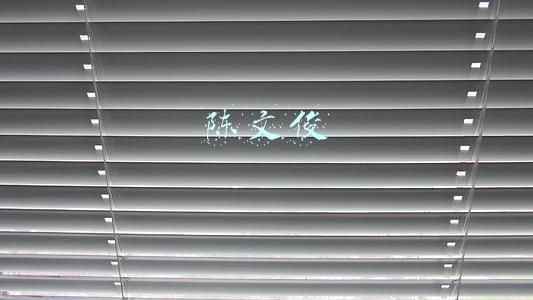 陈文俊