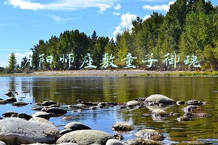 阴阳师座敷童子御魂