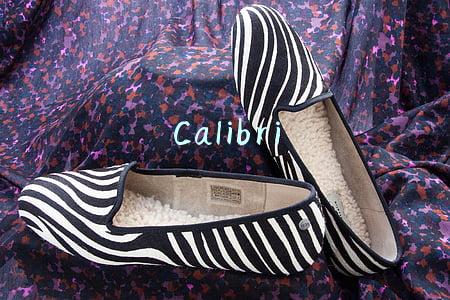 Calibri