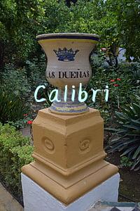 Calibri
