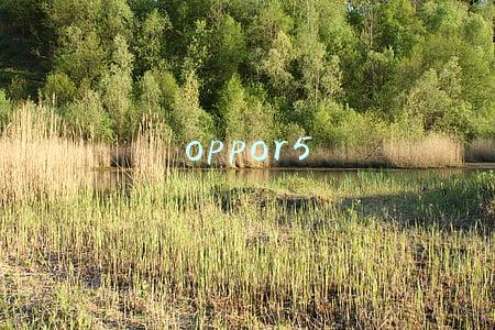 oppor5