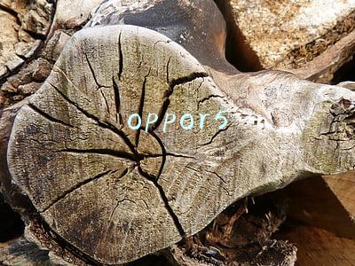 oppor5