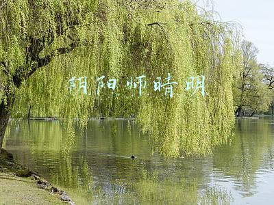 阴阳师晴明