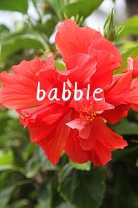 babble
