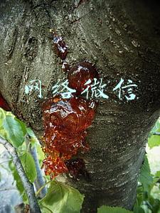 网络微信