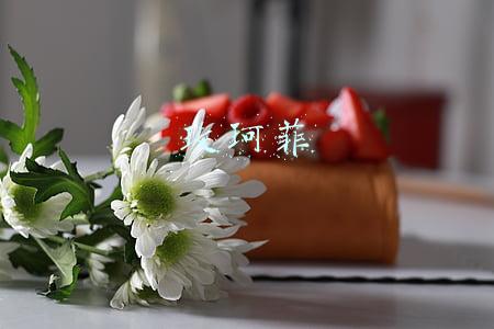玫珂菲