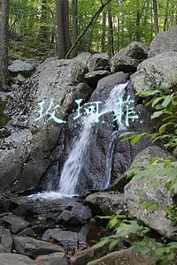 玫珂菲