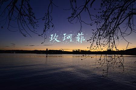 玫珂菲