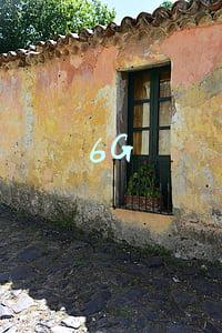 6G