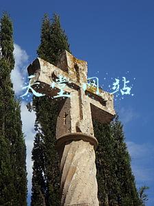 天堂网站