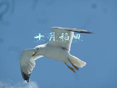 十月稻田