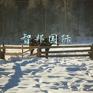 智邦国际
