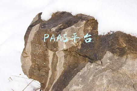 PAAS平台 PAAS平台