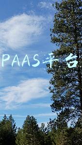 PAAS平台 PAAS平台