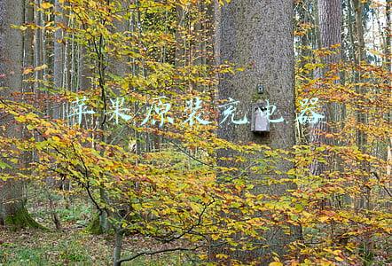 苹果原装充电器