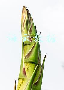 海云数据