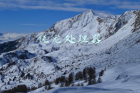 锐龙处理器
