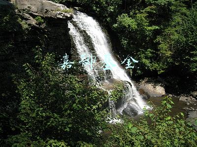 嘉御基金