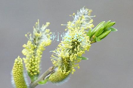 刷怪塔
