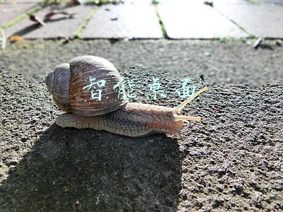 智能桌面