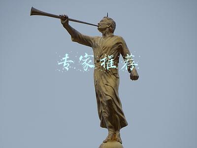 专家推荐