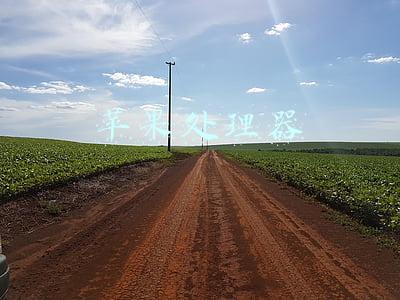 苹果处理器