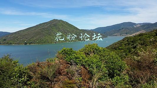 花粉论坛