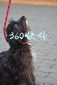 360快传