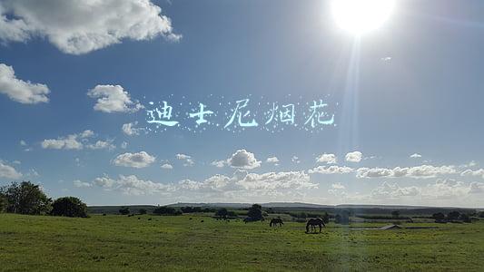 迪士尼烟花