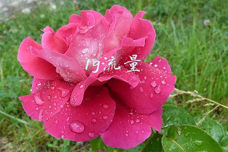 1g流量