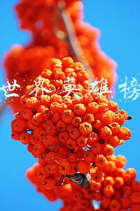 魔兽世界英雄榜官网