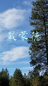 戴蒙德电力机械(湖北)有限公司(中煤华晋集团晋城热电有限公司检修委外维修服务项目招标公告)