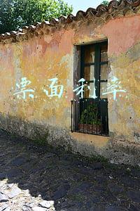 票面利率和到期收益率(债券票面利率下调潮来袭 部分投资人无奈选择回售)