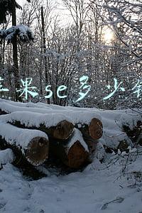 苹果se多少钱