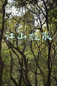 江山控股